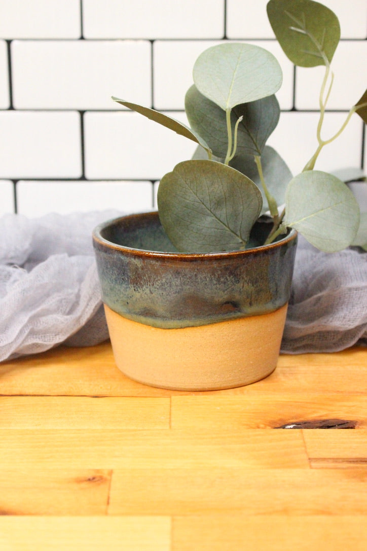 The Rainforest Planter