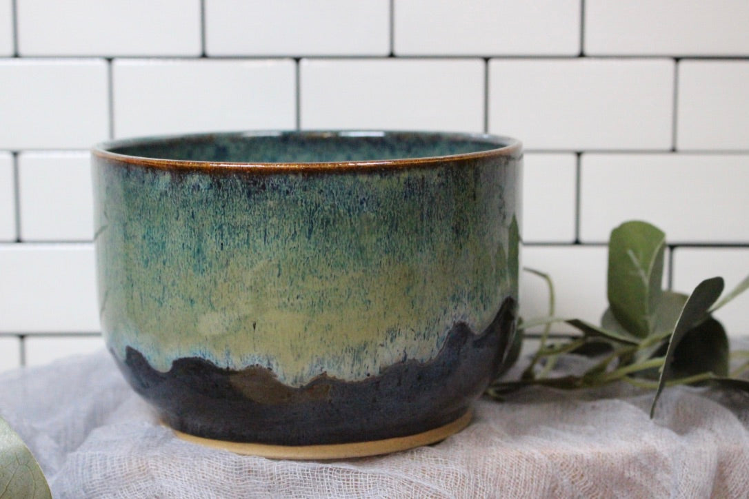 The Rainforest Bowl