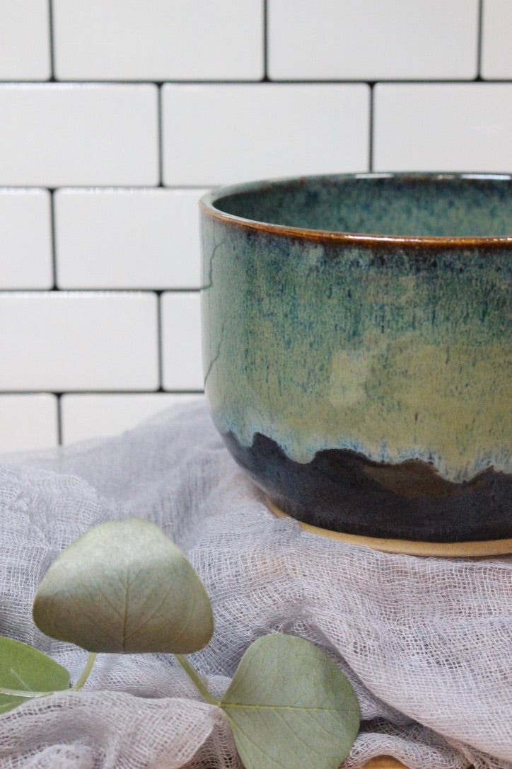 The Rainforest Bowl