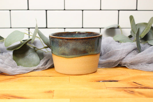 The Rainforest Planter