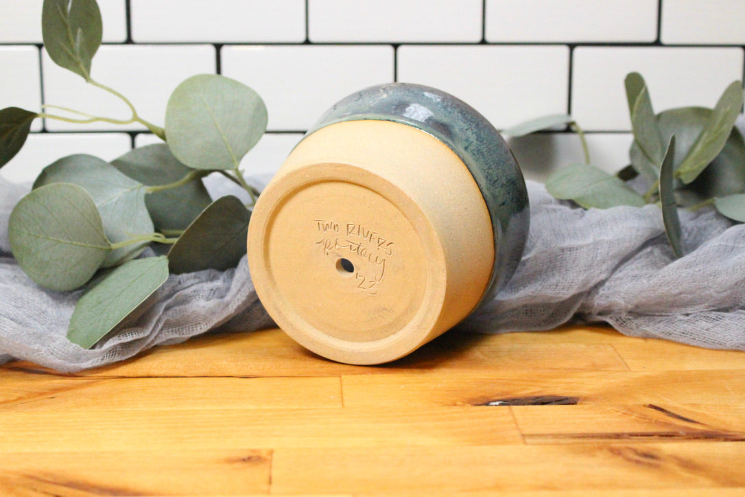 The Rainforest Planter