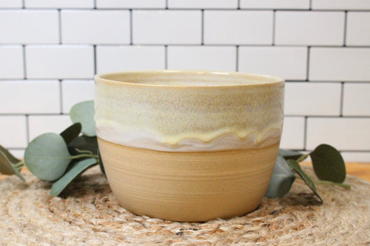 The Sand Dollar Planter