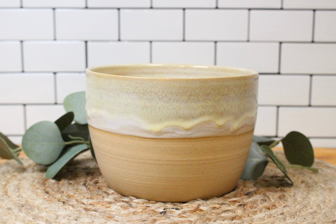 The Sand Dollar Planter